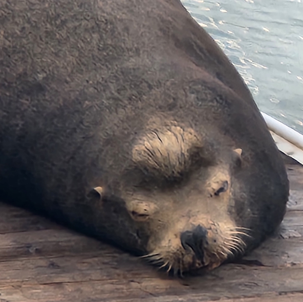 ✨️ A little bit of everything w Jae 🎀